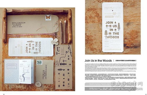 特殊工藝包裝與產品設計的藝術視覺平面設計