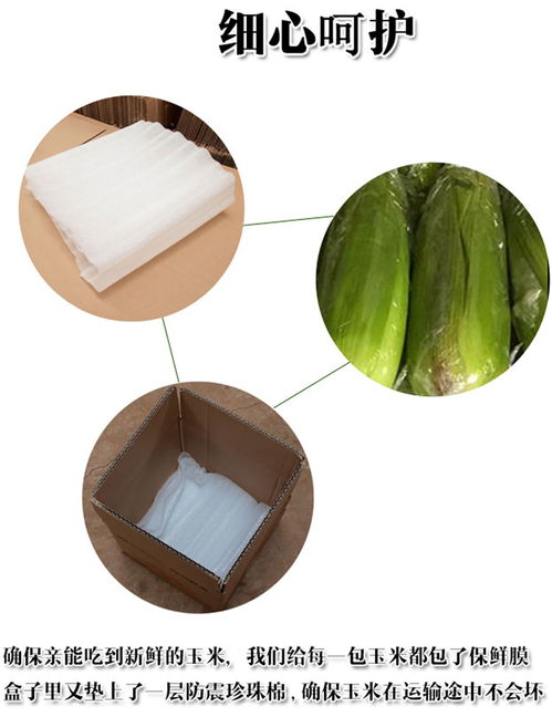 專業平面設計指南 打造“彩云好果果”淘寶店鋪裝修與產品詳情頁