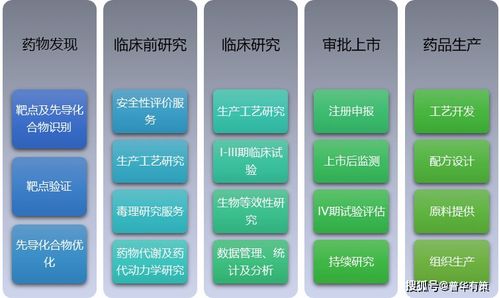 醫(yī)藥研究外包服務競爭格局與網絡技術服務的融合趨勢分析